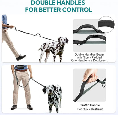 Hands-Free Dual Dog Leash for Walking Two Dogs - No-Tangle Double Lead with Waist Bag, Cushioned Pad & 5 Colour Options