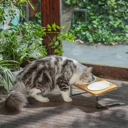 Elevated Ceramic Cat Bowls with Bamboo Stand - 15° Tilted Raised Food & Water Bowl Set for Cats & Puppies
