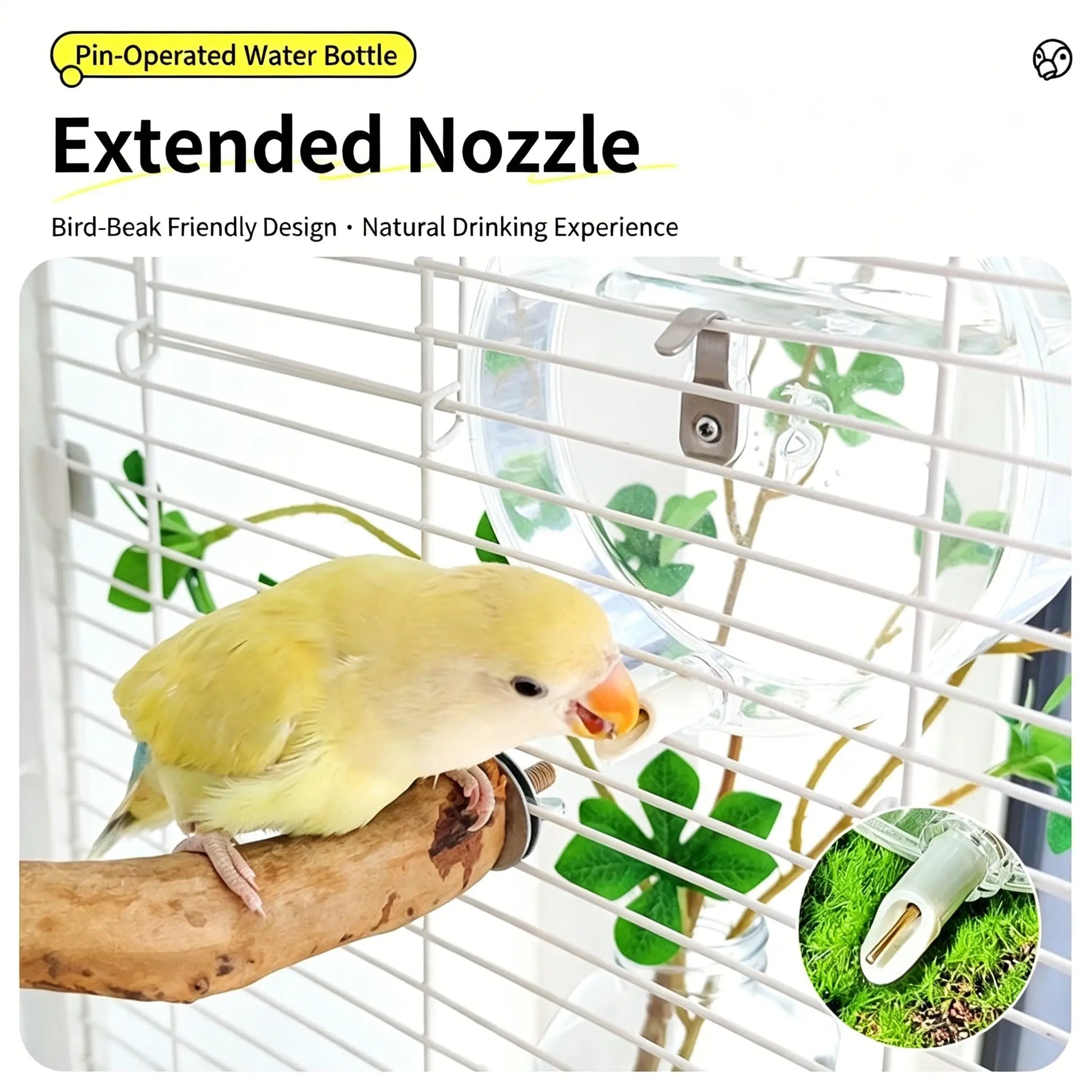 Automatic Bird Water Feeder - Transparent Hanging Water Dispenser for Bird Cages, Suitable for Budgies, Cockatiels, Lovebirds & Finches