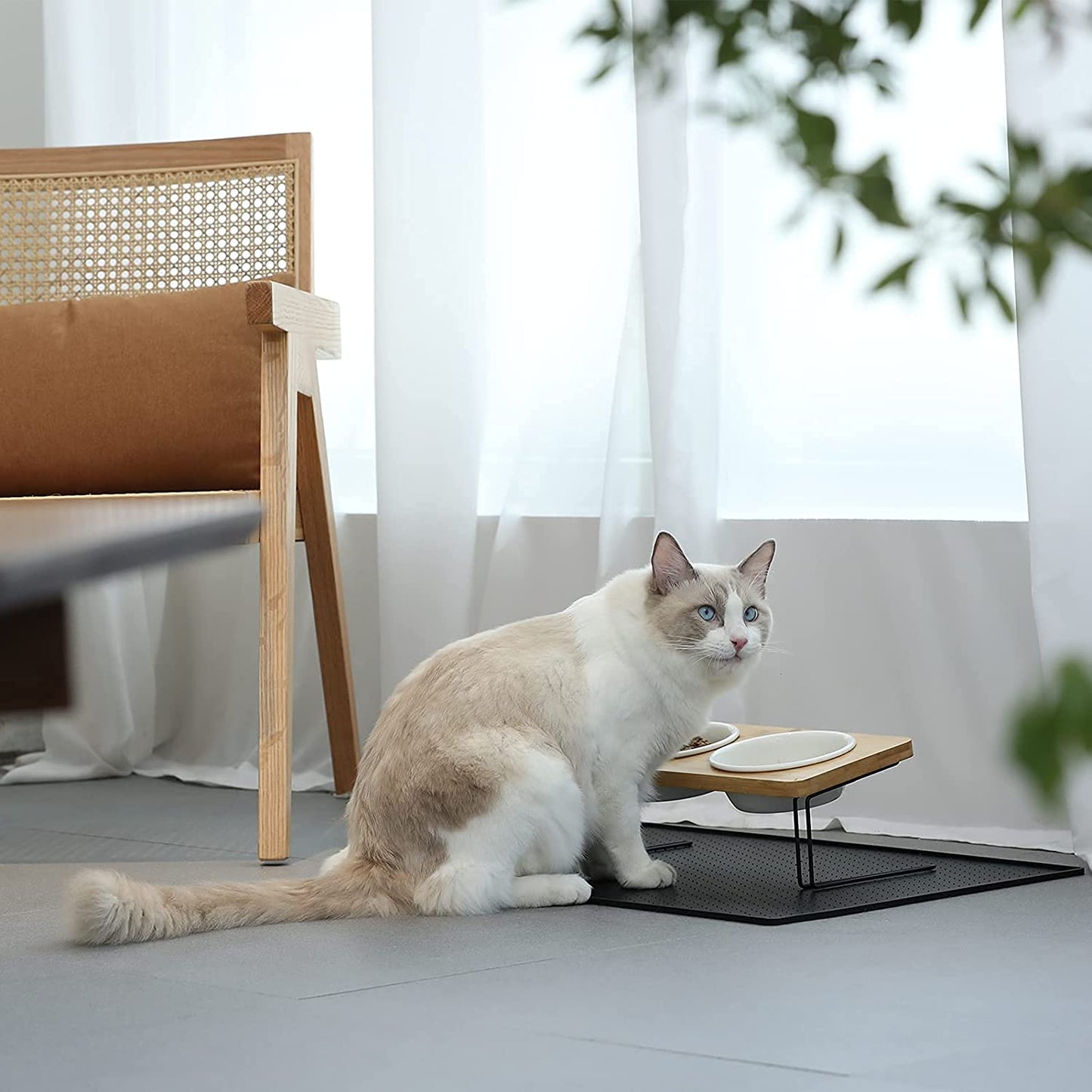 Elevated Ceramic Cat Bowls with Bamboo Stand - 15° Tilted Raised Food & Water Bowl Set for Cats & Puppies