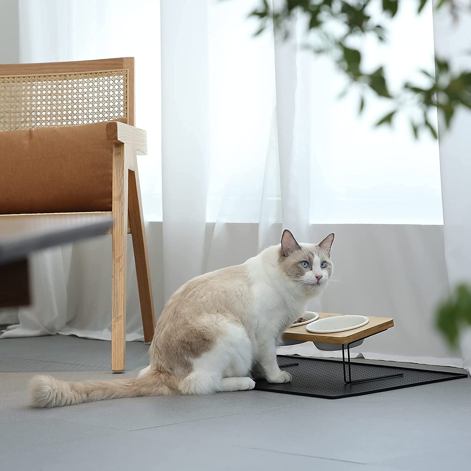 Elevated Ceramic Cat Bowls with Bamboo Stand - 15° Tilted Raised Food & Water Bowl Set for Cats & Puppies