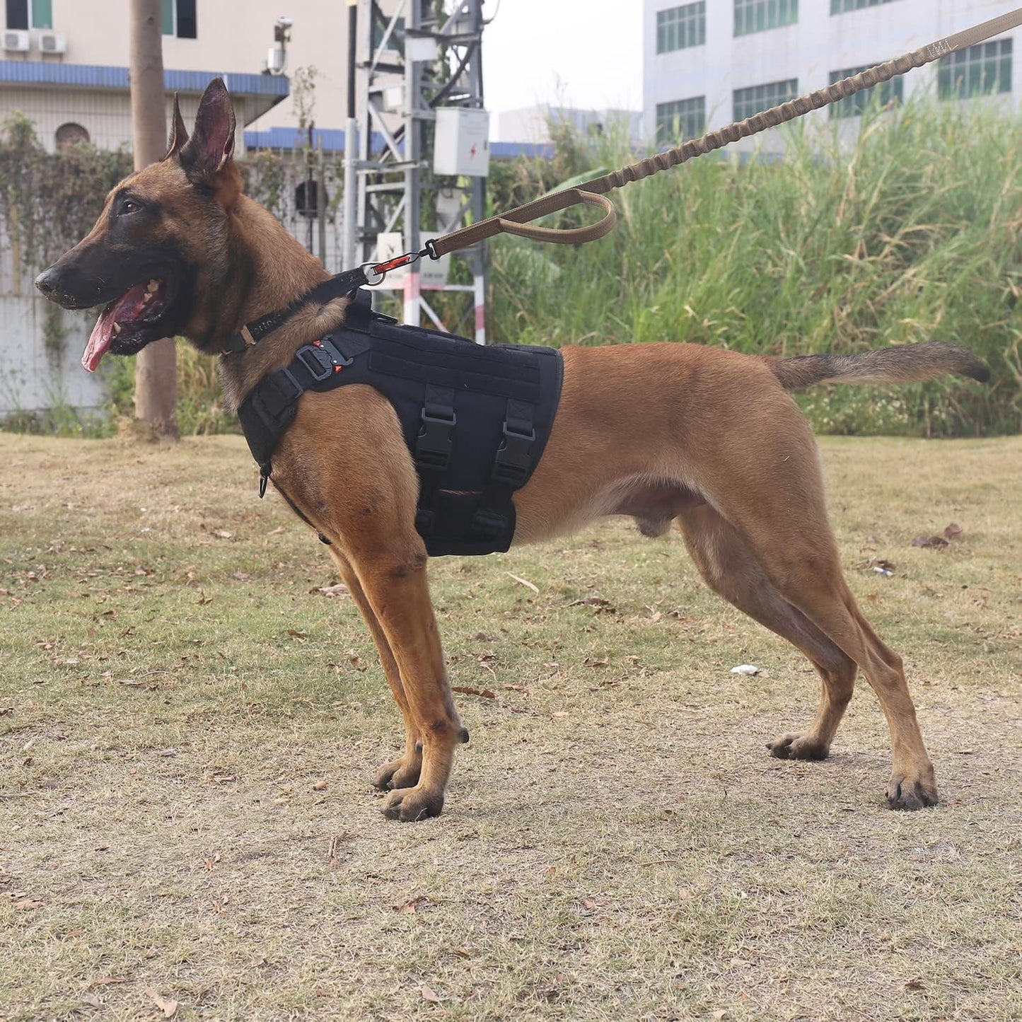 ICEFANG Tactical Dog Harness for XL Dogs - Heavy-Duty No-Pull MOLLE Vest with Handle & Patch Panels, Black