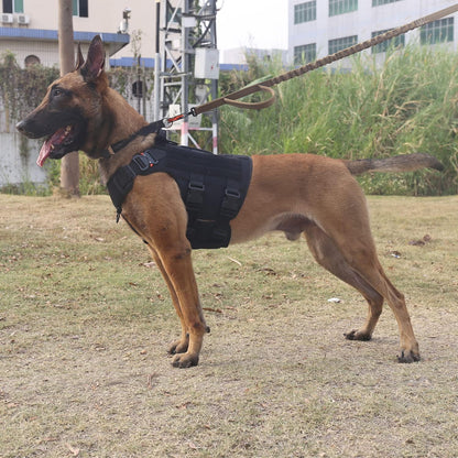 ICEFANG Tactical Dog Harness for XL Dogs - Heavy-Duty No-Pull MOLLE Vest with Handle & Patch Panels, Black
