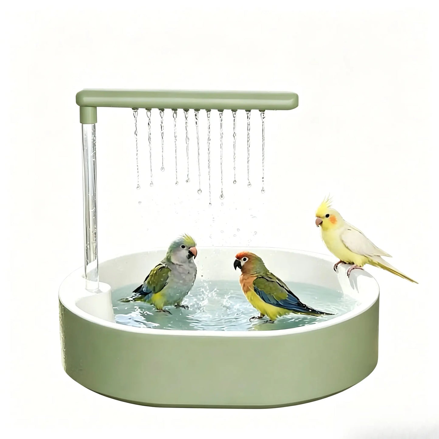 Automatic Bird Bath Tub with Water Shower & Wooden Perch for Budgies, Cockatiels & Small Birds