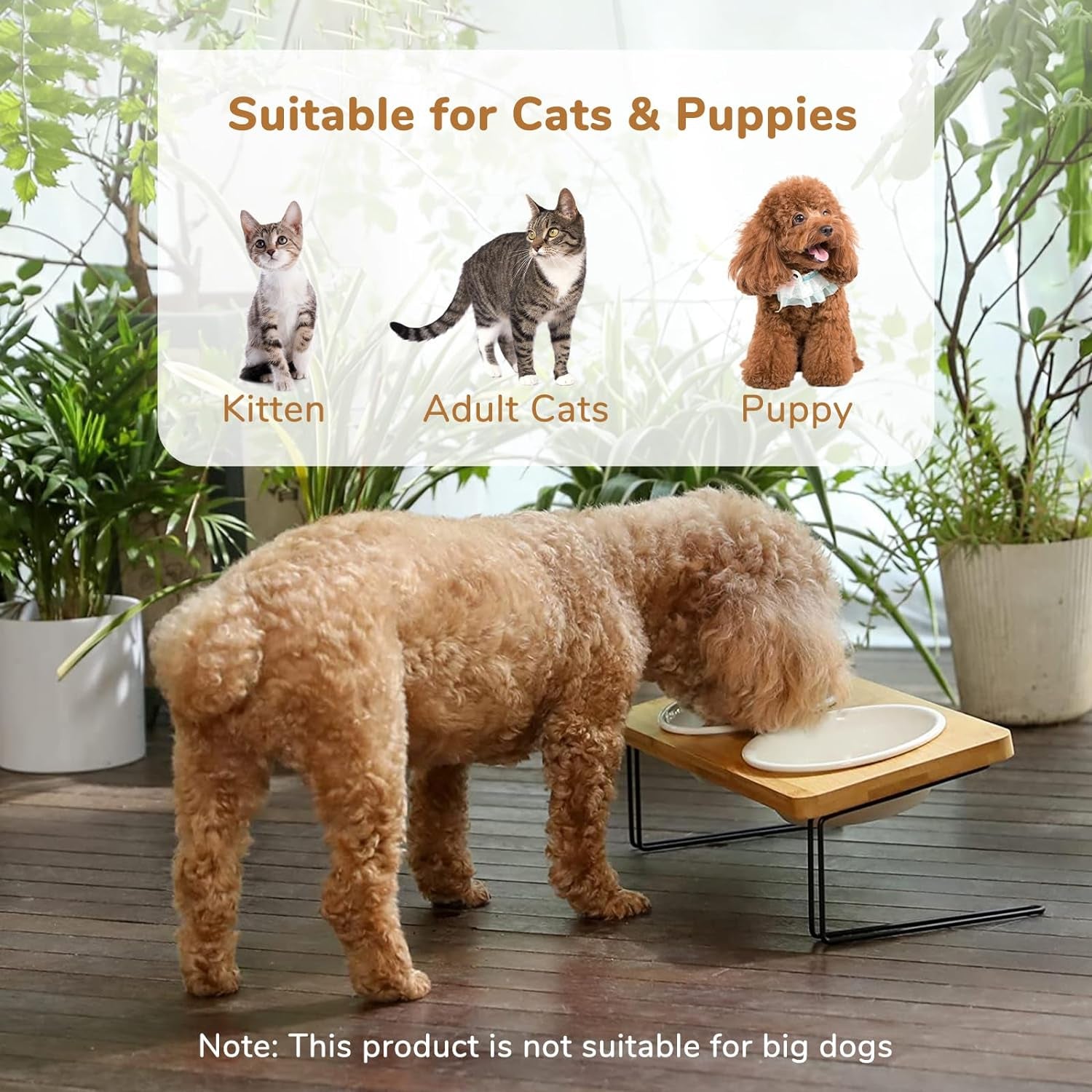 Elevated Ceramic Cat Bowls with Bamboo Stand - 15° Tilted Raised Food & Water Bowl Set for Cats & Puppies