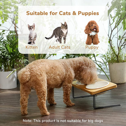Elevated Ceramic Cat Bowls with Bamboo Stand - 15° Tilted Raised Food & Water Bowl Set for Cats & Puppies