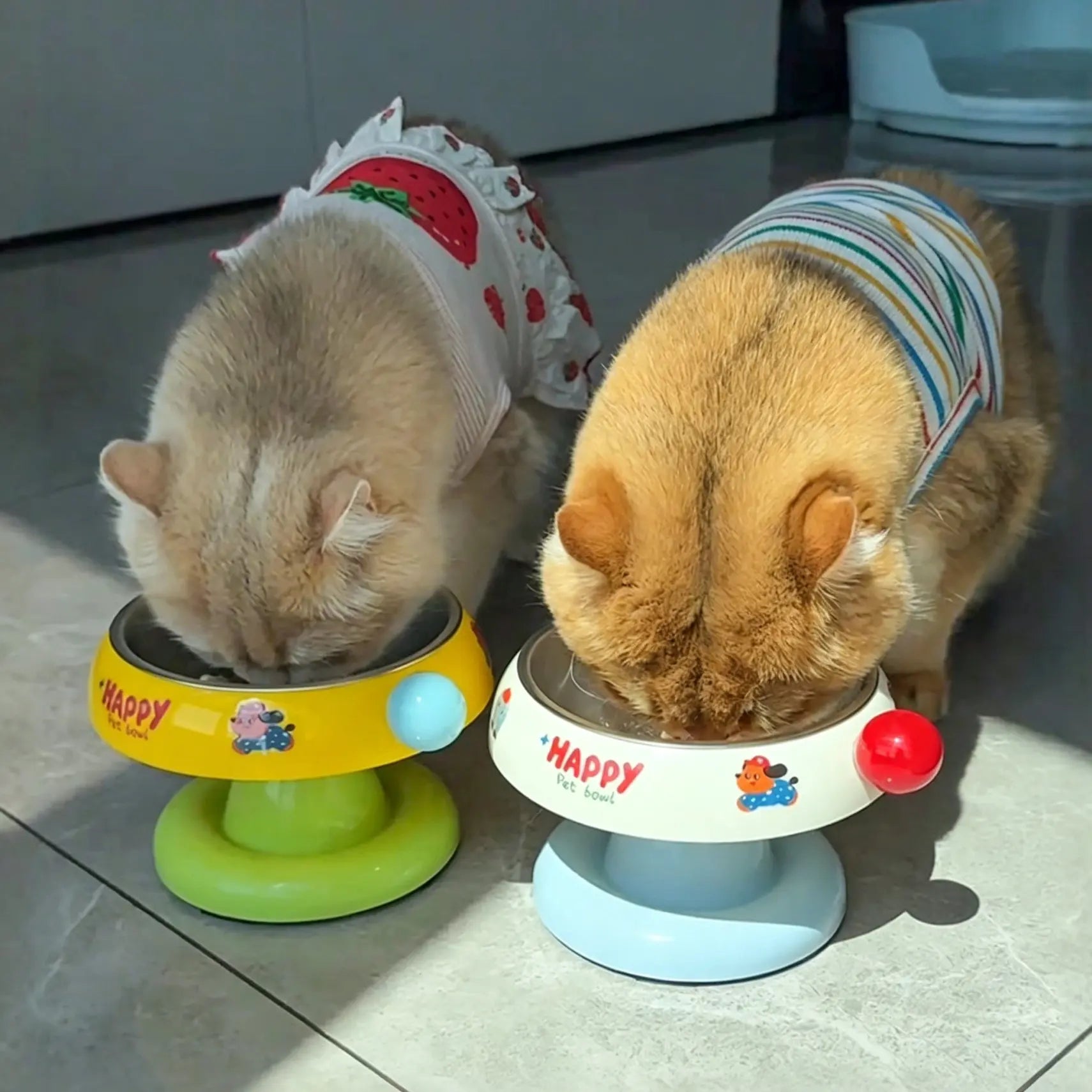 Anti-Slip Stainless Steel Pet Bowl for Cats & Small Dogs - Non-Tip Feeder with Removable Easy-Clean Liner, 3 Colours