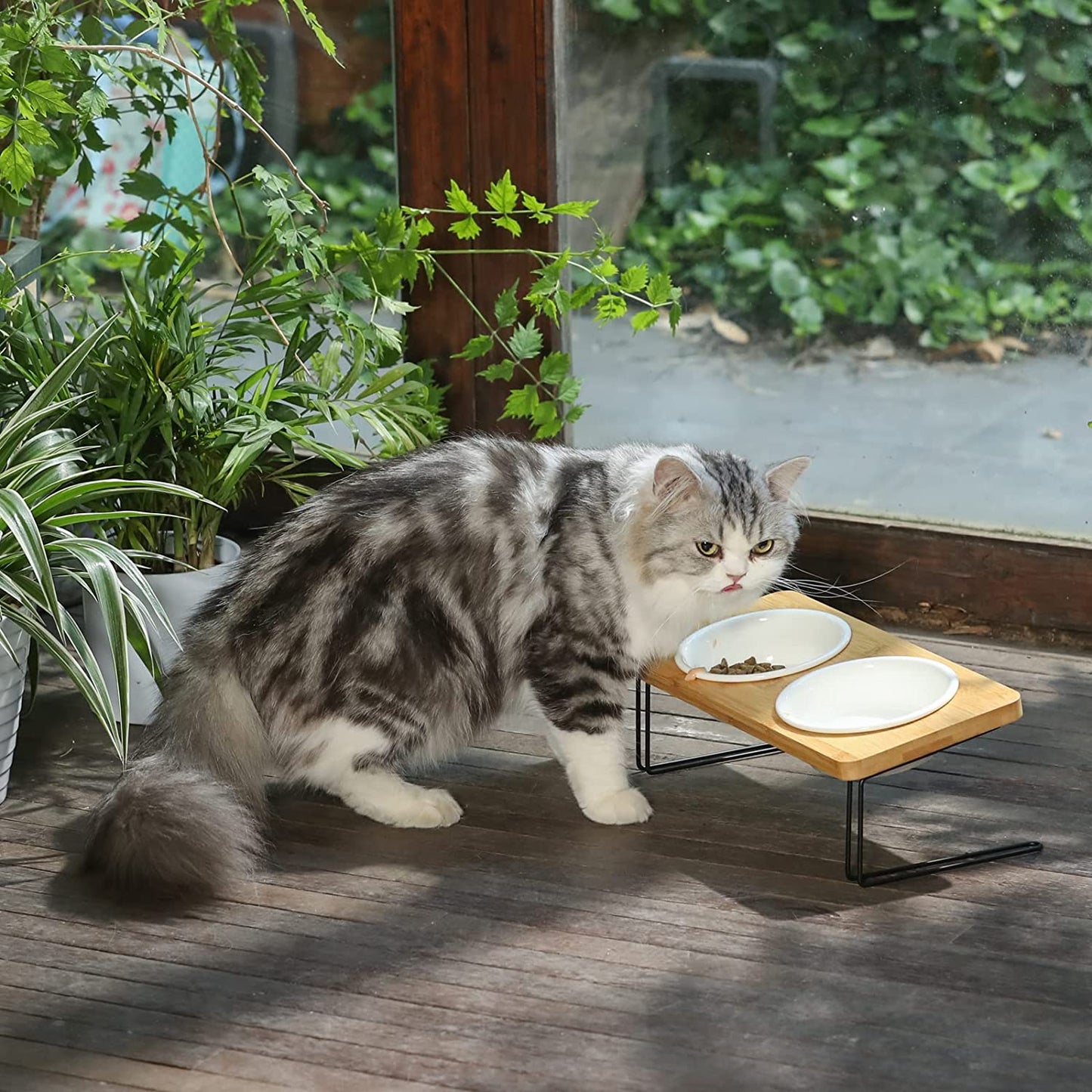 Elevated Ceramic Cat Bowls with Bamboo Stand - 15° Tilted Raised Food & Water Bowl Set for Cats & Puppies