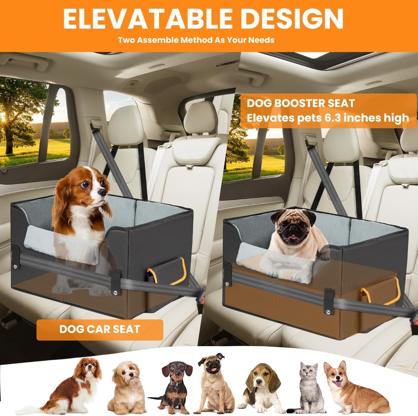 Elevated Dog Car Seat for Small Dogs & Cats - Pet Booster Travel Seat with Adjustable Straps & Soft Liner